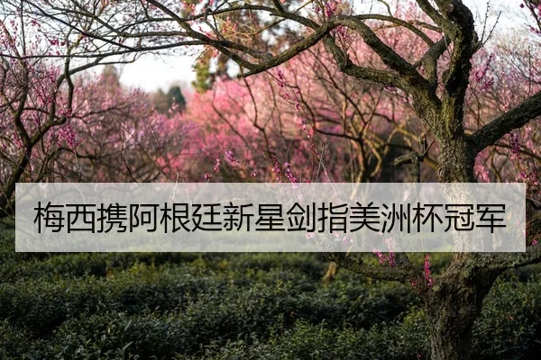 梅西携阿根廷新星剑指美洲杯冠军